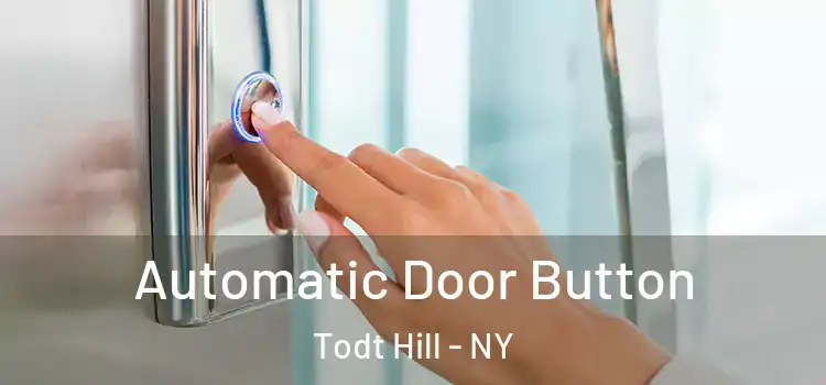  Automatic Door Button Todt Hill - NY