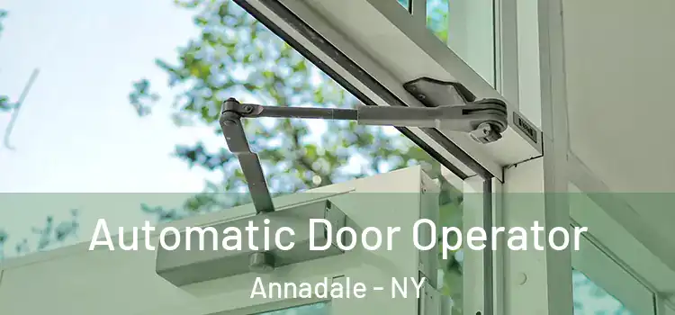  Automatic Door Operator Annadale - NY