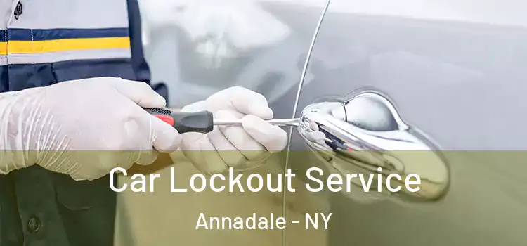  Car Lockout Service Annadale - NY