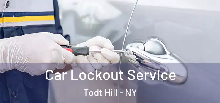  Car Lockout Service Todt Hill - NY