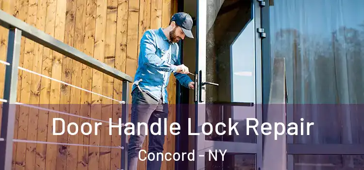  Door Handle Lock Repair Concord - NY