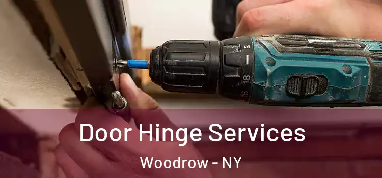  Door Hinge Services Woodrow - NY