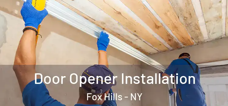  Door Opener Installation Fox Hills - NY
