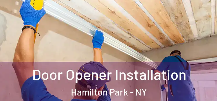  Door Opener Installation Hamilton Park - NY