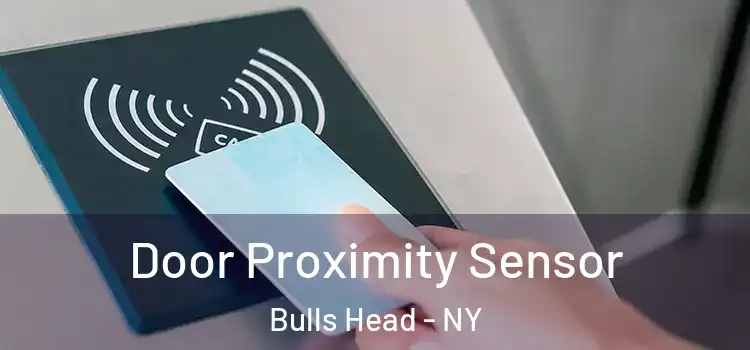  Door Proximity Sensor Bulls Head - NY