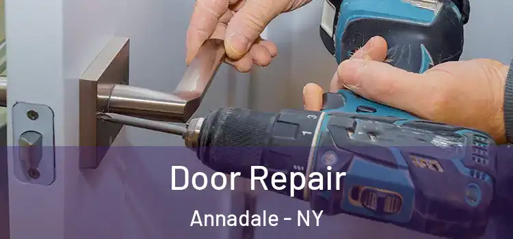  Door Repair Annadale - NY