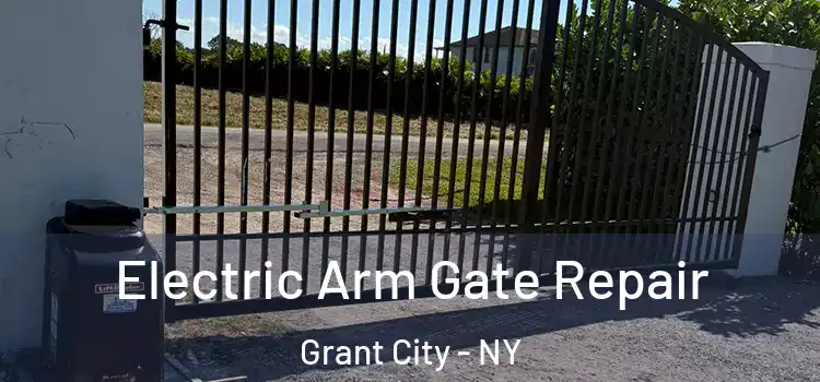 Electric Arm Gate Repair Grant City - NY