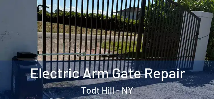 Electric Arm Gate Repair Todt Hill - NY