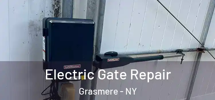  Electric Gate Repair Grasmere - NY
