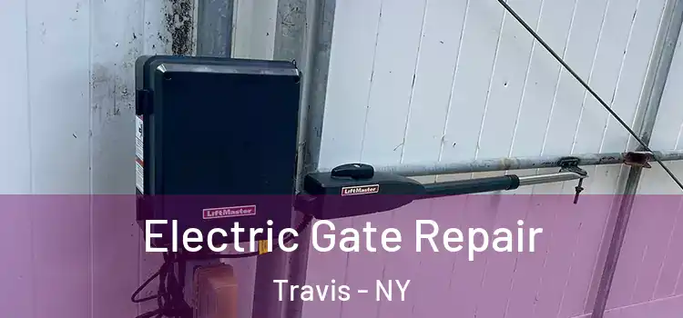  Electric Gate Repair Travis - NY