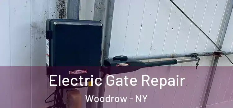 Electric Gate Repair Woodrow - NY