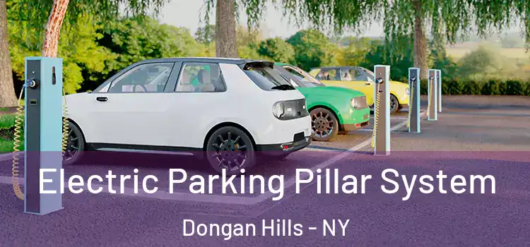  Electric Parking Pillar System Dongan Hills - NY