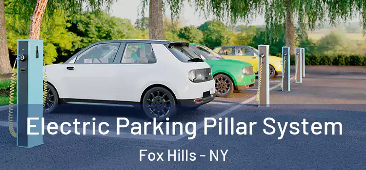  Electric Parking Pillar System Fox Hills - NY