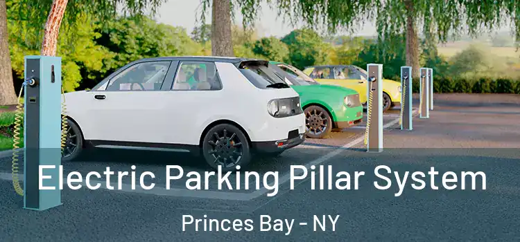  Electric Parking Pillar System Princes Bay - NY