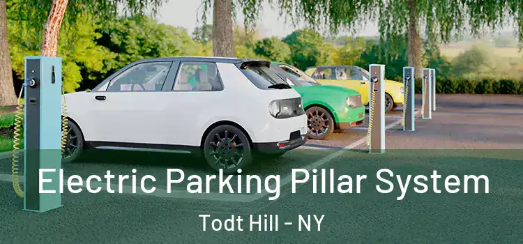 Electric Parking Pillar System Todt Hill - NY