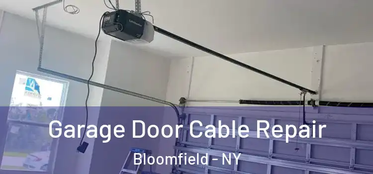  Garage Door Cable Repair Bloomfield - NY