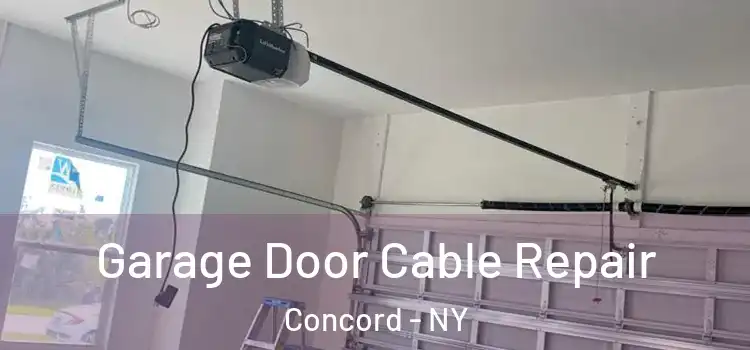  Garage Door Cable Repair Concord - NY