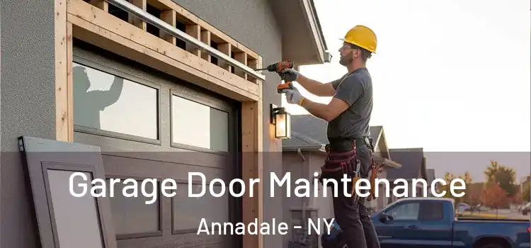  Garage Door Maintenance Annadale - NY