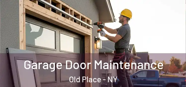  Garage Door Maintenance Old Place - NY