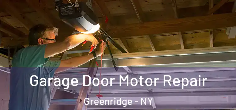  Garage Door Motor Repair Greenridge - NY