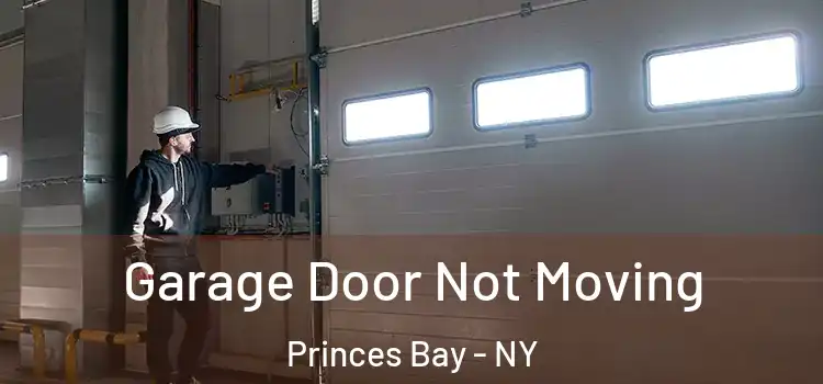 Garage Door Not Moving Princes Bay - NY