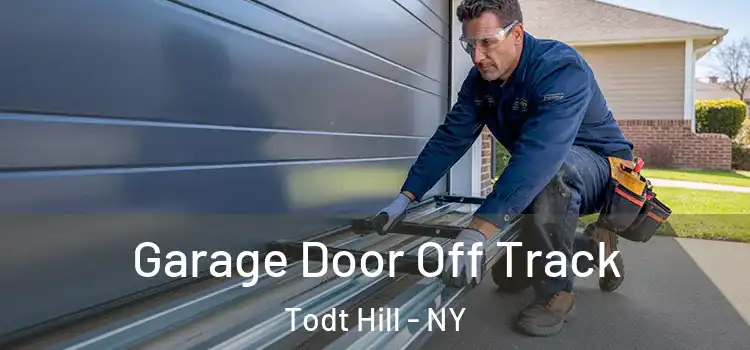  Garage Door Off Track Todt Hill - NY