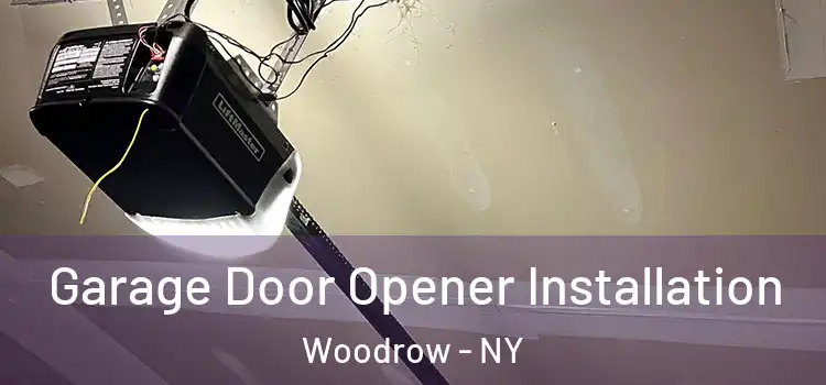  Garage Door Opener Installation Woodrow - NY