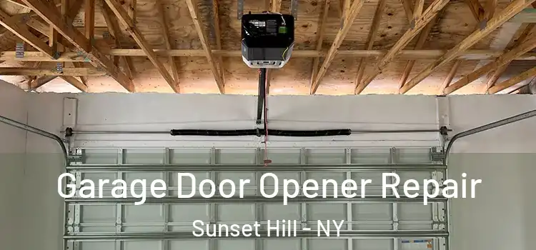  Garage Door Opener Repair Sunset Hill - NY