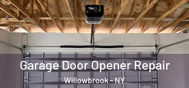  Garage Door Opener Repair Willowbrook - NY