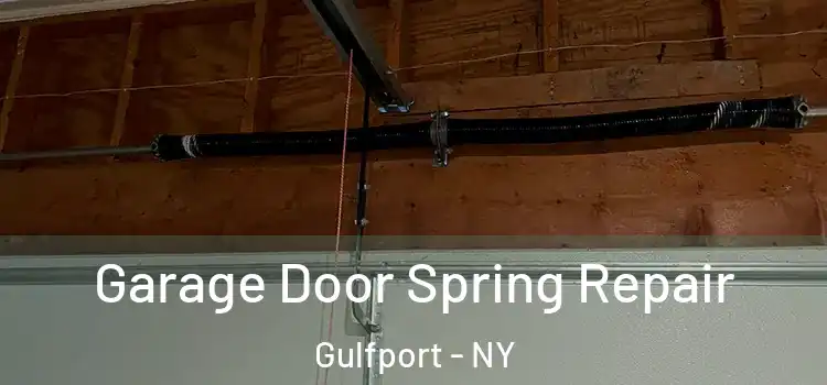  Garage Door Spring Repair Gulfport - NY