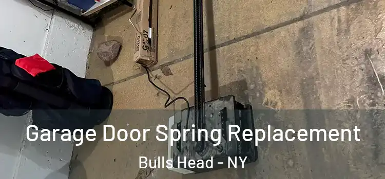  Garage Door Spring Replacement Bulls Head - NY