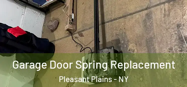  Garage Door Spring Replacement Pleasant Plains - NY