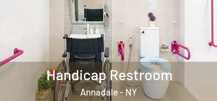 Handicap Restroom Annadale - NY