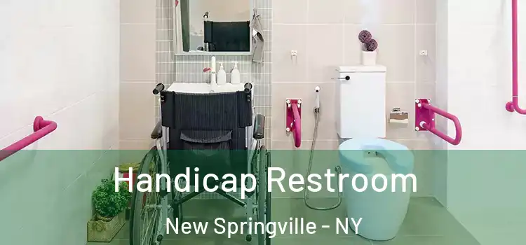  Handicap Restroom New Springville - NY