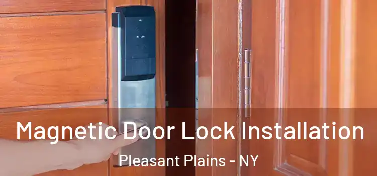  Magnetic Door Lock Installation Pleasant Plains - NY