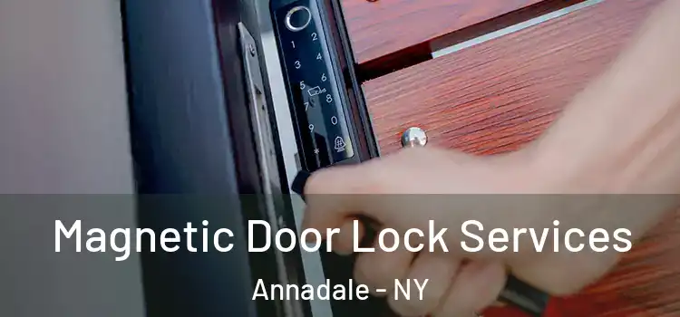 Magnetic Door Lock Services Annadale - NY