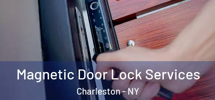  Magnetic Door Lock Services Charleston - NY