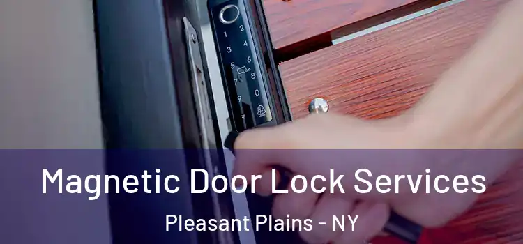 Magnetic Door Lock Services Pleasant Plains - NY