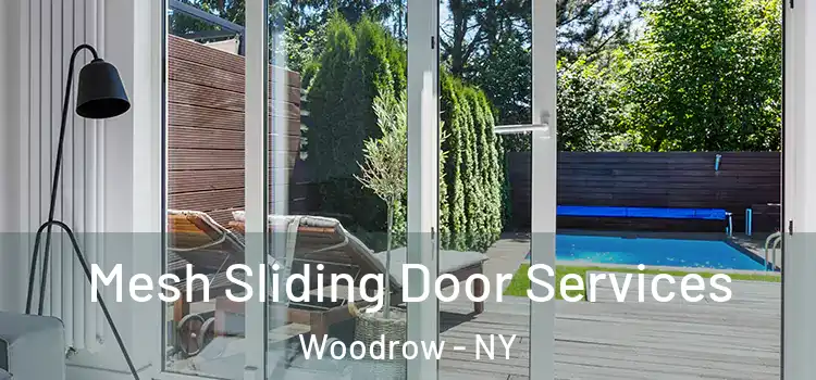  Mesh Sliding Door Services Woodrow - NY