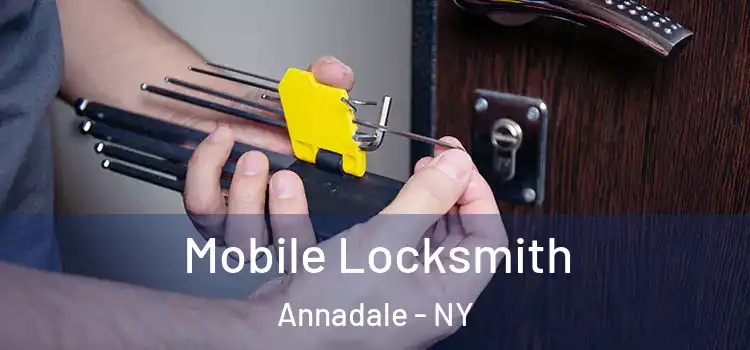  Mobile Locksmith Annadale - NY