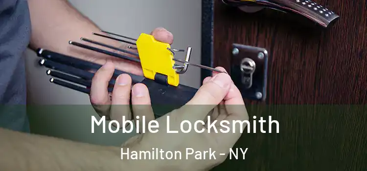  Mobile Locksmith Hamilton Park - NY