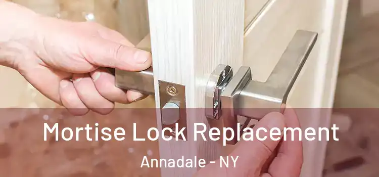 Mortise Lock Replacement Annadale - NY