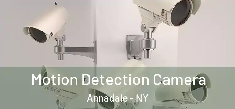 Motion Detection Camera Annadale - NY