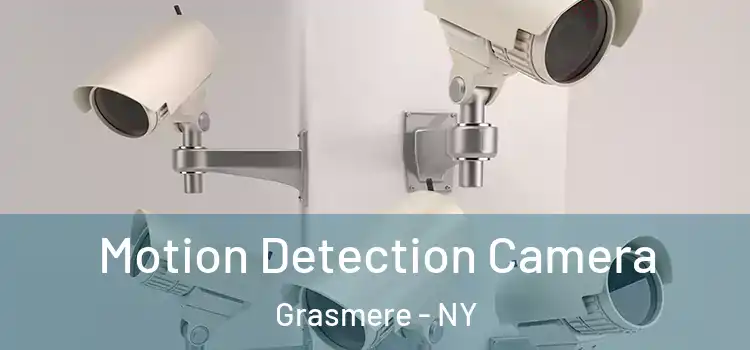  Motion Detection Camera Grasmere - NY
