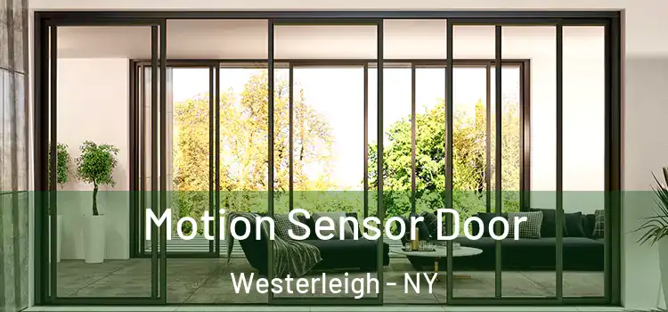  Motion Sensor Door Westerleigh - NY