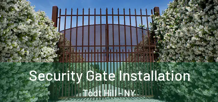 Security Gate Installation Todt Hill - NY