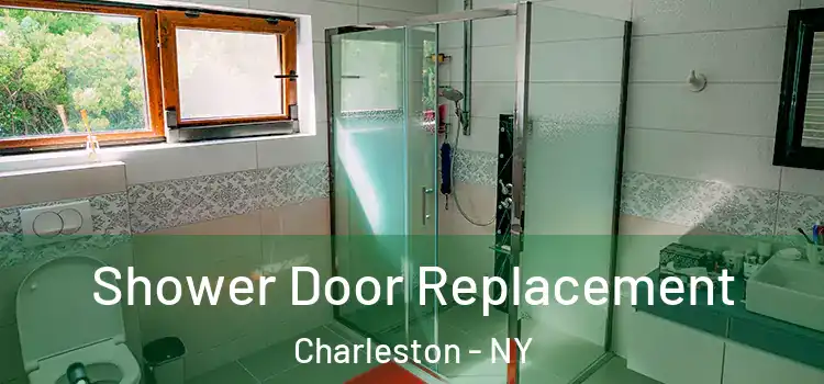 Shower Door Replacement Charleston - NY