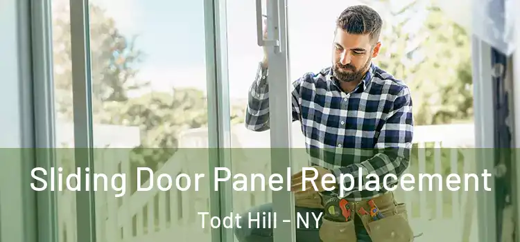 Sliding Door Panel Replacement Todt Hill - NY
