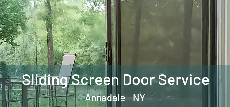  Sliding Screen Door Service Annadale - NY