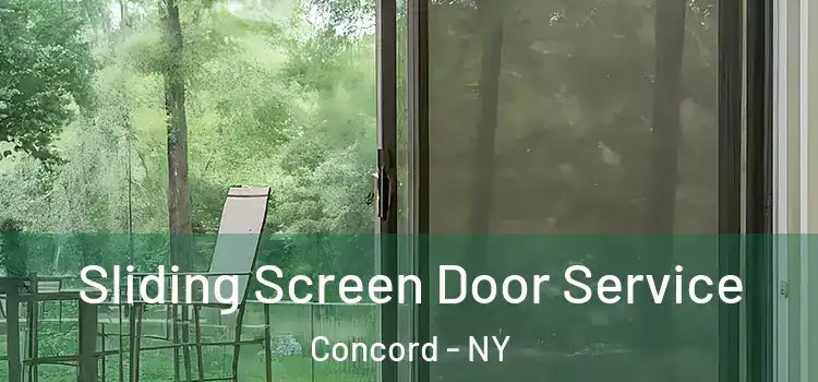 Sliding Screen Door Service Concord - NY